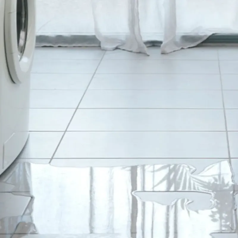 Appliance Leak Cleanup in Burton, MI
