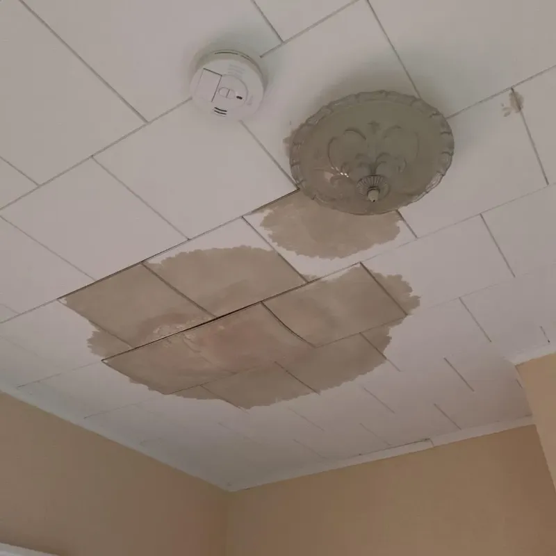 Ceiling Water Damage Repair in Burton, MI