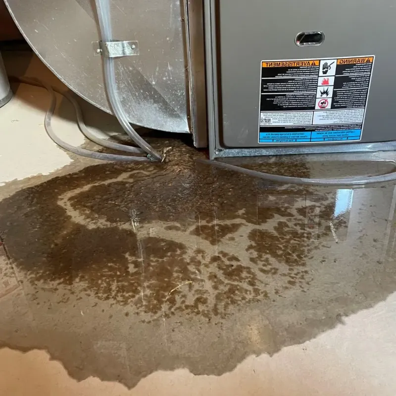 Pipe Burst and Leak Restoration in Burton, MI