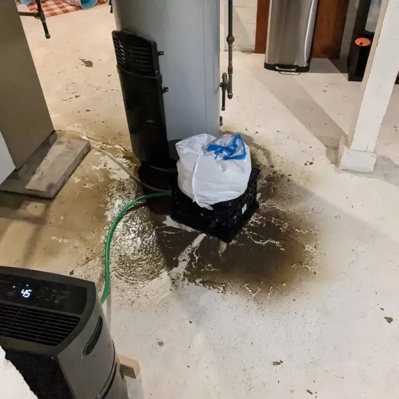 Sewage Backup Cleanup Service in Burton, MI